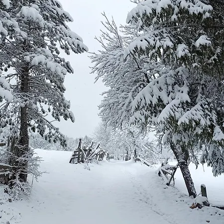 Hébergement de vacances Vikendica 